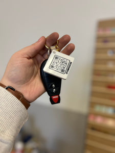 QR Code & Microchip Keychain