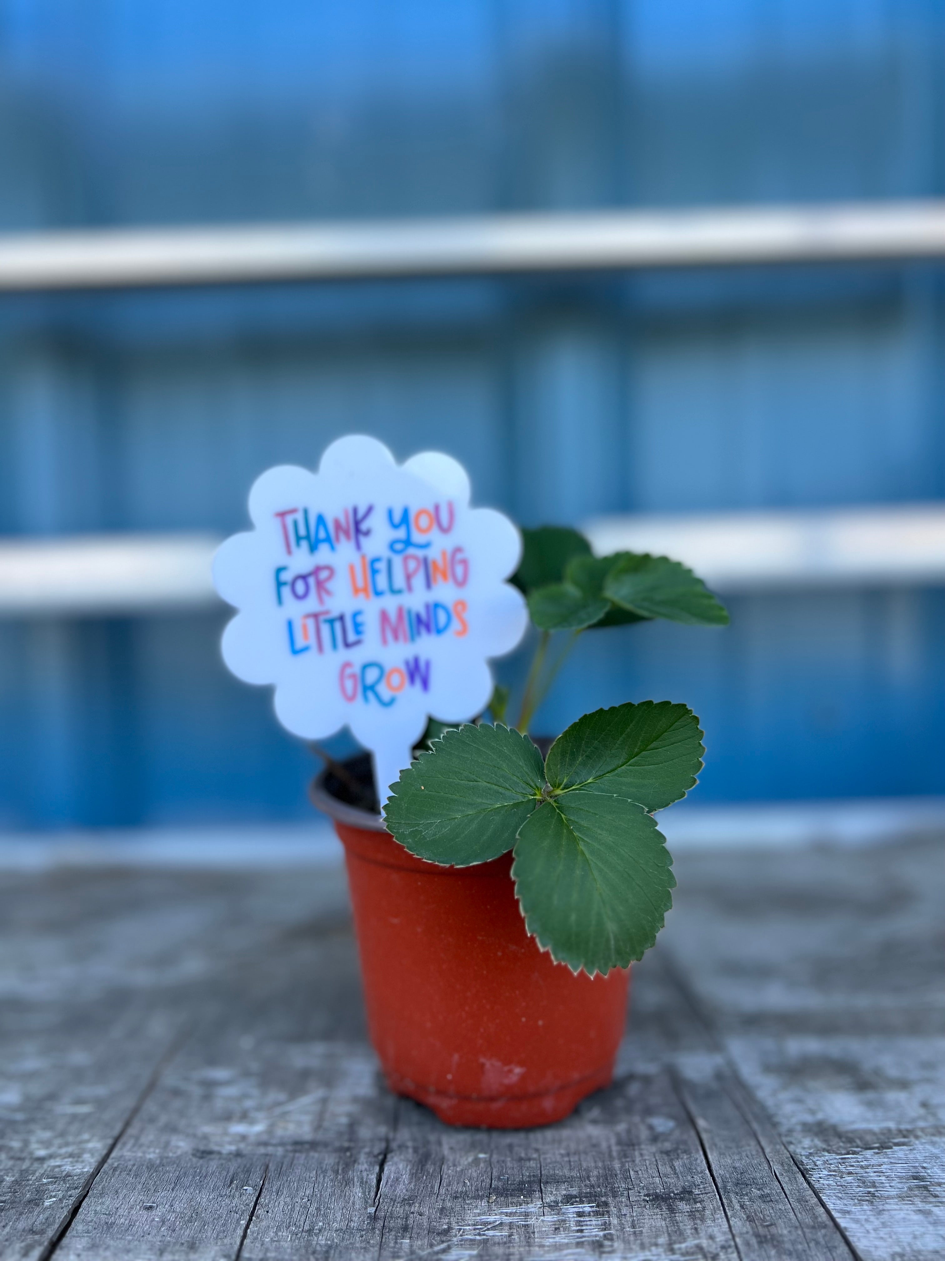 Teacher Thank You Plant Stake