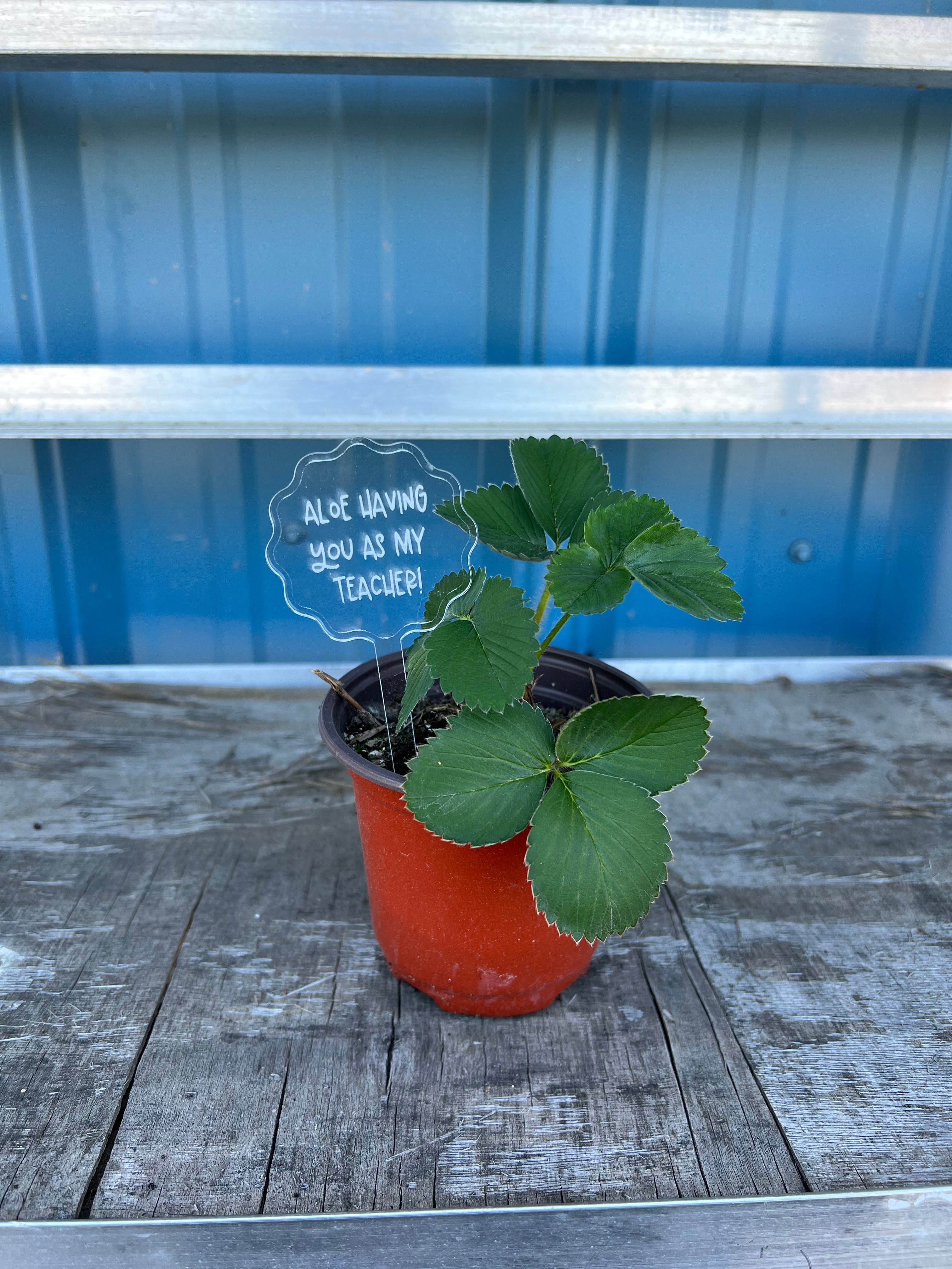 Book Mark for Teacher Gift