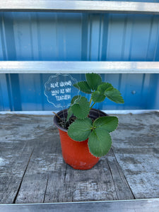 Book Mark for Teacher Gift