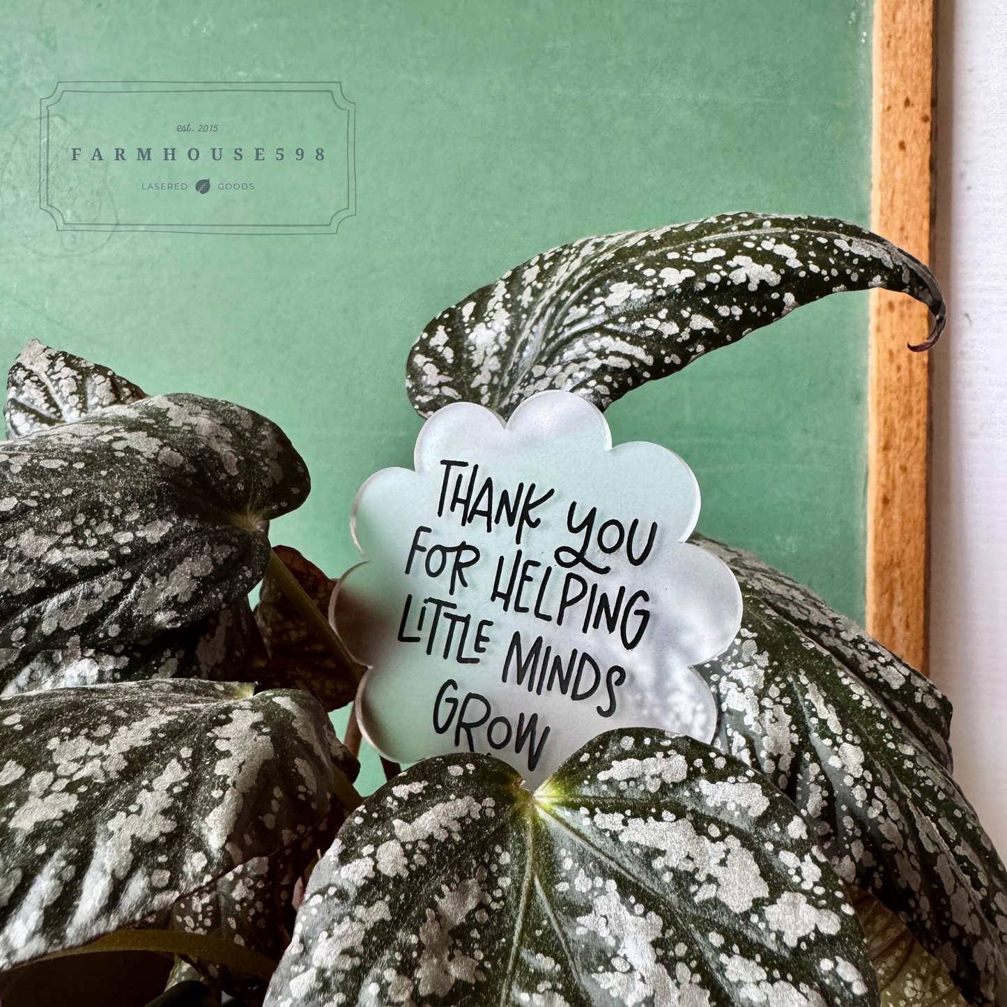 Teacher Thank You Plant Stake
