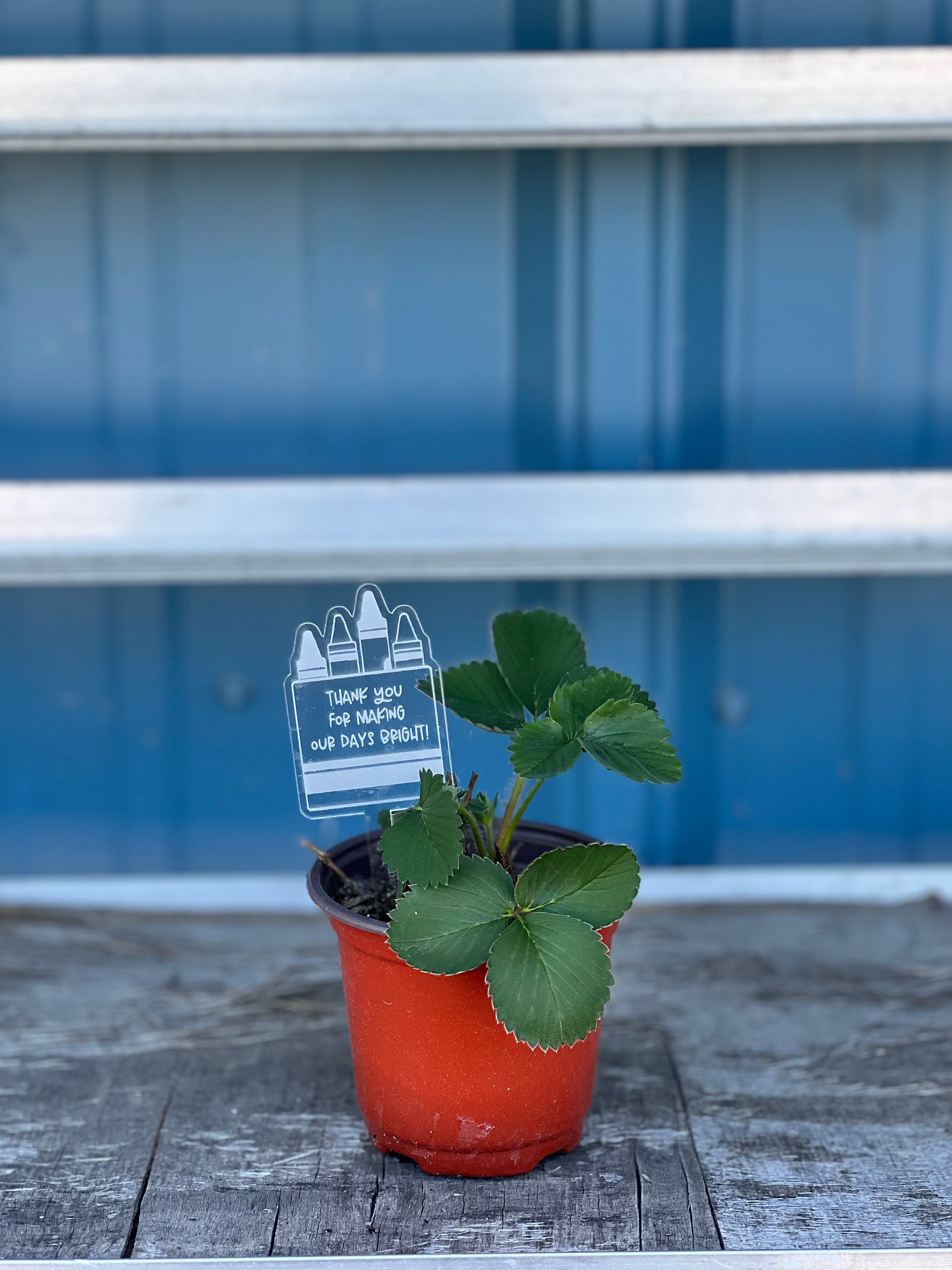 Book Mark for Teacher Gift