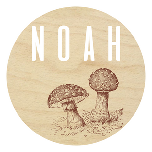 Laser Engraved and 3D Toadstool Name Sign