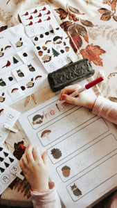 Alphabet Dry Erase Board