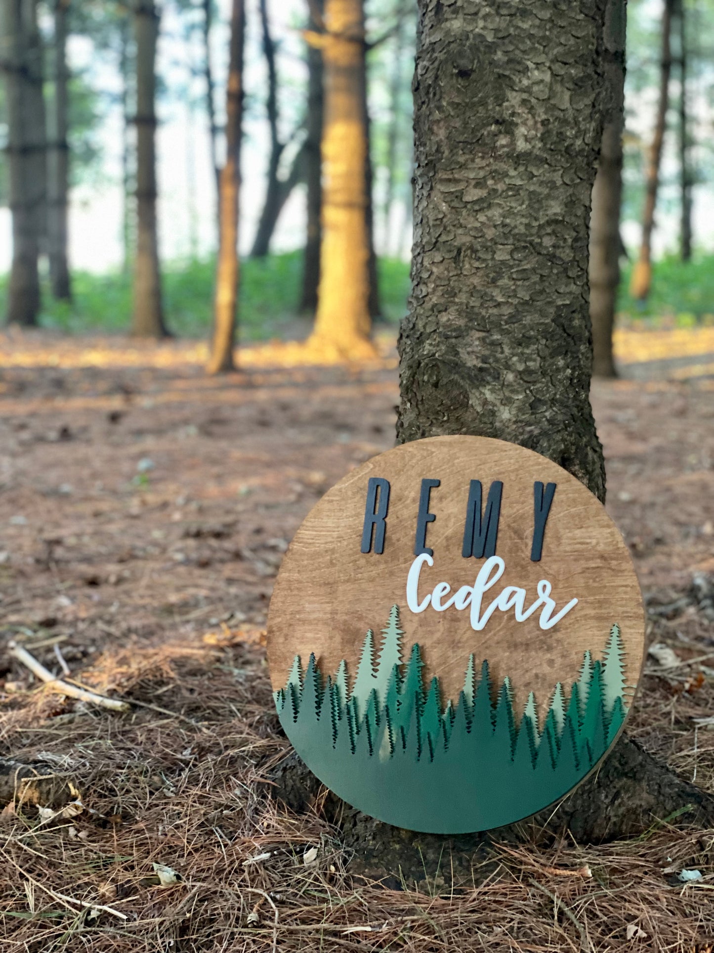 3D Circle Sign